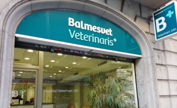 Balmesvet Veterinaris Hospital 24 H.