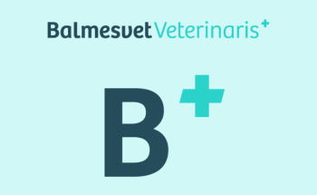 Balmesvet Veterinaris Hospital 24 H.