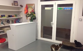 Centro Veterinario Joanic