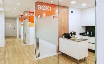 Centre Veterinari Can Vet Urgències 24 h.