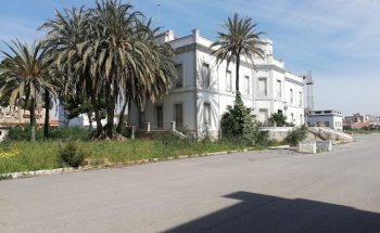 Clinica Veterinaria Costa Calida