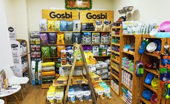 Petlovers Centro Veterinario