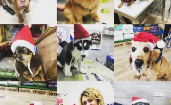 Clínica Veterinaria Fauno