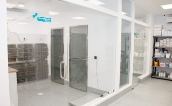 Clínica Veterinaria Mediterránea Vet Practice