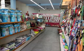 Hospital Veterinari de Mollerussa