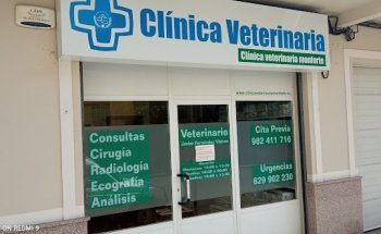 CLINICA VETERINARIA MONFORTE