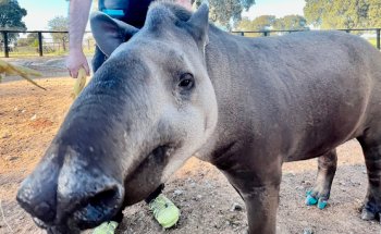 Hospital Veterinario Privet Villaviciosa