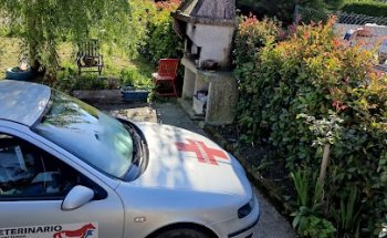 VETERINARIO Miguel Simón Fernández