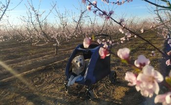 Clínica Veterinaria Juan Manuel Cabo