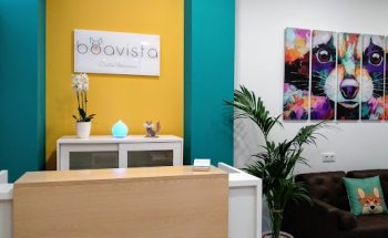 Boavista Oftalmología Veterinaria