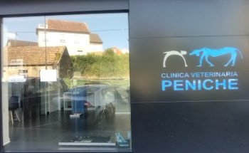 Clinica Veterinaria Peniche
