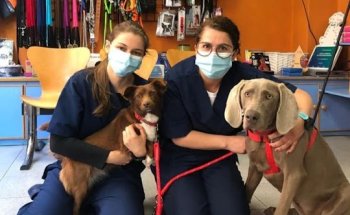 Clínica Veterinaria Tea Mondariz