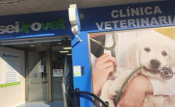 Seixovet Clínica Veterinaria
