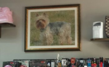 Clínica Veterinaria Trabazos