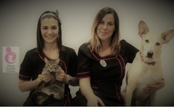 Clínica Veterinaria Bichos