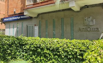 AniCura Ocaña Oftalmología Veterinaria