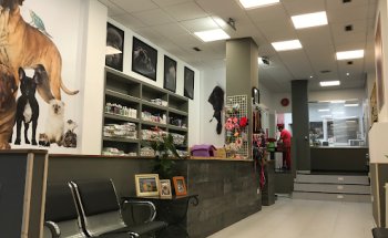 Clínica Veterinaria Mini