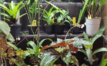 Centro veterinario Camaleo. CamaleoVet