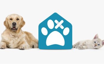 Lacasa Clínica Veterinaria