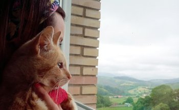 Centro Veterinario Occivet