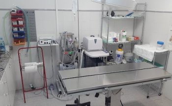 Clinica Veterinaria Ambra