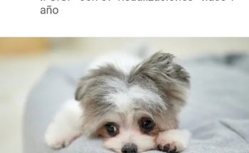 Clinica Veterinaria Fundación Santa Clara-Mil'u