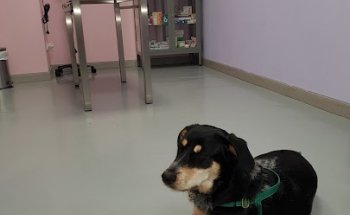 Centro Veterinario Huellas en El Bierzo