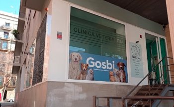 Clínica Veterinària Family Vet