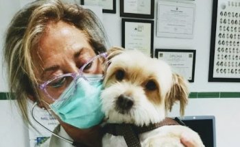 Clínica Veterinaria Comarcal