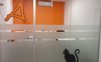 Animalons Veterinaris