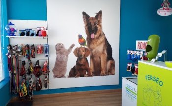 Clínica Veterinaria Perseo Móstoles