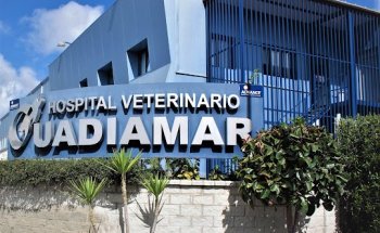AniCura Guadiamar Hospital Veterinario | Urgencias 24h