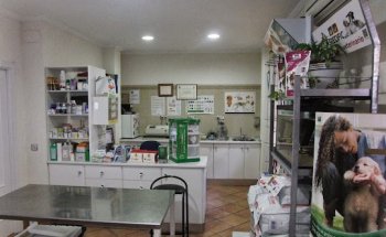 clinica veterinaria Roberto
