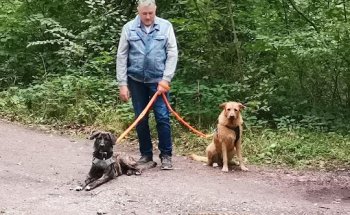 Registro de Identificación de Animales de Compañía (RIAC)