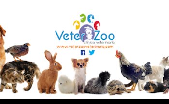 Veterzoo Rojales y Los Balcones