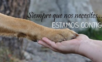 Clínica Veterinaria Doble Dog