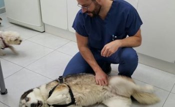 Urgencias Veterinarias Lanzarote