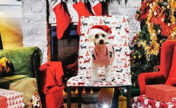 La Veterinaria de Sotrondio