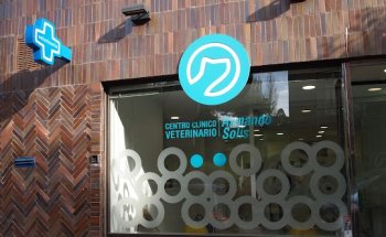 Centro Clínico Veterinario Dr. Armando Solís