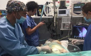 Clínica Veterinaria Covadonga