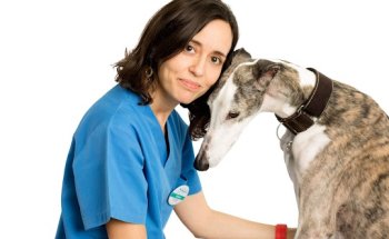 Clínica Veterinaria Montevil | MiVet