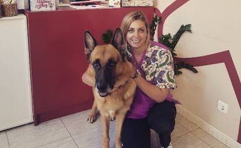 CENTRE VETERINARI DEL DELTA a SANT CARLES DE LA RAPITA-BERTA SOTOCA