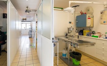 Clinica Veterinaria Sant Celoni