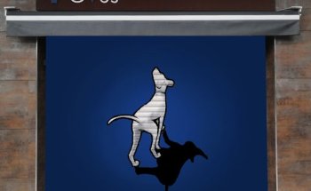 Centro Veterinario Sant Just