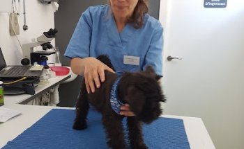 Centre Veterinari Sant Sadurní