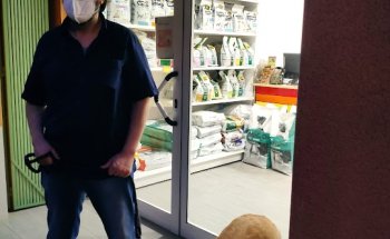 Centre Veterinari Alex