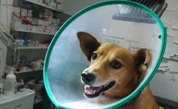 Clínica Veterinaria Santa Fe