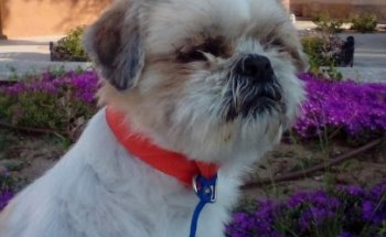 Clínica Veterinaria Camarma