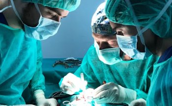 Clínica Veterinaria Silla