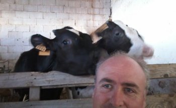 SANIZOO SERVICIOS VETERINARIOS SL